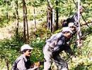 Hunt for killer Naxal leaders starts in Andhra forest