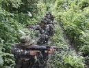 Centre, C'garh to launch joint action against Maoists