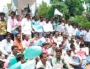 Cong's Telangana stand depends on local polls verdict