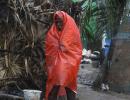 Cyclone Phailin claims 17 lives; many more in tatters