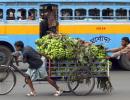 The bye-cycle diaries of Kolkata