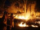 In PHOTOS: Australia's deadly bushfires go out of control