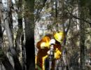 Aus fire crisis eases, but firefighters warn fight isn't over