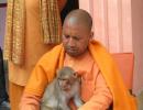 Why no 'BJPwallah' would comment on this yogi... or his politics