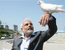 Narendra Modi worth Rs 1.51 crore; does not own vehicle