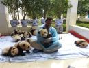 He hugs pandas. And meets polar bears