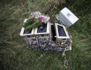 181 bodies recovered from MH17 crash site in Ukraine