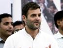 Will Rahul Gandhi lose in Amethi?