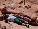 PHOTOS: World's BIGGEST dinosaur discovered