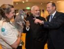 When a cuddly koala bear charmed PM Modi