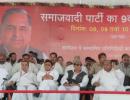 What the Samajwadi Party and BSP have in common?