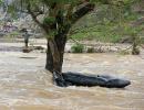 Odisha: Man, who saved 7 women and kids from drowning, dies