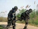 BSF giving strong reply to Pakistan's border shelling