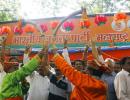 Sugar belt turns saffron