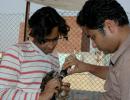 The brothers who are saving Delhi's birds of prey