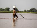 Over 230 lives lost in Pakistan's 'deadliest floods'