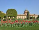 PIX: Prez's Mughal Garden is in full bloom and you are invited