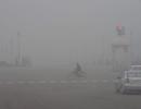 Cold wave hits North India; fog disrupts normal life