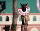 Elite dogs to guard Delhi when Obamas come visiting