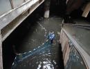 That's ODD: Going fishing inside Bangkok's condemned mall