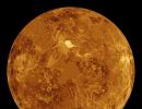 Venus might host life, new discovery suggests