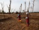 Parched Maharashtra village looks to 'water wives' for relief