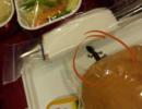 Lizard in flyer's meal? Air India says 'mischievous propaganda'