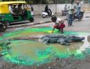 OMG! When Bengaluru found a crocodile on a busy street