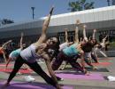 PHOTOS: The world gets its asanas right