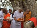 Prayers, stupas & more: Modi's date with Sri Lankan history