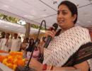 In Rahul's Amethi, Smriti Irani calls him 'missing'