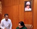 Working Sunday for Jaya; opens 'Amma' canteens, clears schemes worth Rs 18K crore