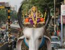 PHOTOS: Devotees bring home Maa Durga