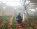 Growing crops in space, reaping the benefits on Earth