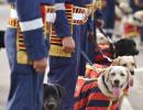 PHOTOS: Meet Delhi Police's cutest new recruits