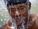 Telangana: It's only April, but the heat has already killed over 65