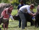 PHOTOS: Royals in the jungle: Will and Kate@Kaziranga