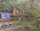 Trees uprooted, flights cancelled: Cyclone Vardah makes landfall