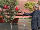 PHOTOS: Welcome to the President's majestic Mughal Garden