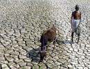 Government going in 'wrong direction' in tackling farmers' suicide: SC