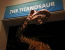 PHOTOS: 122-foot long Titanosaur 'invades' New York