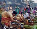 Tamil Nadu celebrates Pongal; Jallikattu ban plays spoilsport