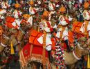 Tradition stays: BSF camel contingent to march in R-day parade