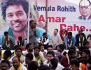 In HCU, Rahul compares Rohith's death to Mahatma Gandhi's killing