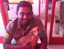 Dog flung off terrace found alive in Chennai; accused get bail