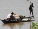 PIX: Assam reels under flood