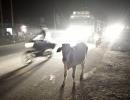 Mob thrashes 2 women in Madhya Pradesh over beef rumour