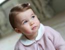 My, how you've grown! Britain's Princess Charlotte turns 1