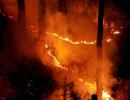 NGT issues notices to Uttarakhand, Himachal over forest fires