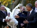 Obama pardons his last turkey... and has a pun-fest